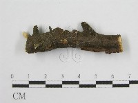 登錄號:F0004621藏品圖，第4張