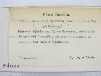 登錄號:F0004622藏品圖，第2張