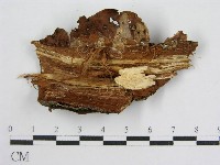 登錄號:F0004622藏品圖，第3張