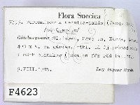 登錄號:F0004623藏品圖，第2張