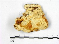 登錄號:F0004623藏品圖，第1張