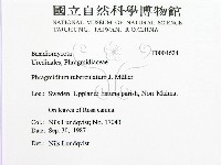 登錄號:F0004624藏品圖，第2張