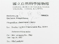 登錄號:F0004624藏品圖，第3張