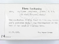 登錄號:F0004625藏品圖，第2張