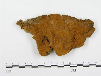 登錄號:F0004625藏品圖，第1張