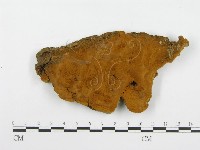 登錄號:F0004625藏品圖，第3張