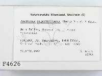 登錄號:F0004626藏品圖，第2張