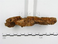 登錄號:F0004626藏品圖，第4張