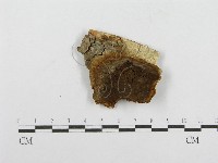 登錄號:F0004627藏品圖，第4張