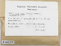 登錄號:F0004628藏品圖，第2張