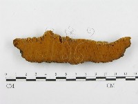 登錄號:F0004628藏品圖，第3張