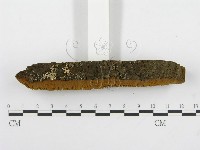 登錄號:F0004628藏品圖，第5張