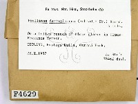 登錄號:F0004629藏品圖，第2張