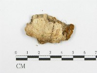 登錄號:F0004629藏品圖，第3張