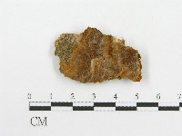 登錄號:F0004629藏品圖，第4張