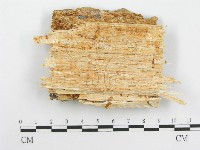 登錄號:F0004630藏品圖，第3張