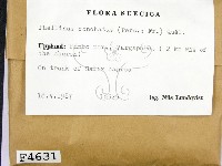 登錄號:F0004631藏品圖，第2張