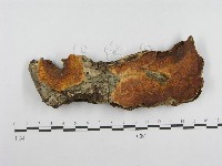 登錄號:F0004632藏品圖，第1張