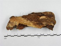 登錄號:F0004632藏品圖，第3張