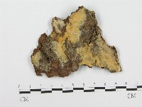 登錄號:F0004633藏品圖，第1張