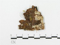 登錄號:F0004634藏品圖，第3張