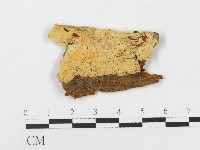 登錄號:F0004635藏品圖，第1張