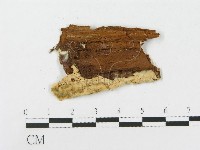 登錄號:F0004635藏品圖，第4張