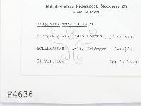 登錄號:F0004636藏品圖，第2張