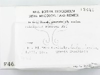 登錄號:F0004637藏品圖，第2張