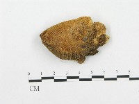 登錄號:F0004637藏品圖，第1張