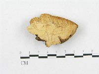 登錄號:F0004637藏品圖，第3張