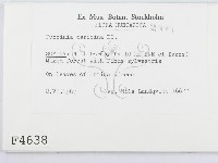 登錄號:F0004638藏品圖，第2張