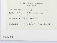 登錄號:F0004639藏品圖，第2張