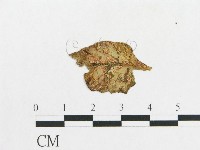 登錄號:F0004639藏品圖，第3張