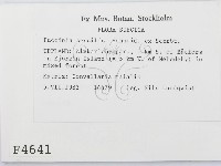 登錄號:F0004641藏品圖，第2張