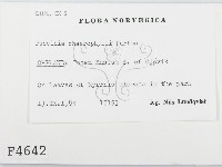 登錄號:F0004642藏品圖，第2張