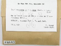 登錄號:F0004643藏品圖，第2張