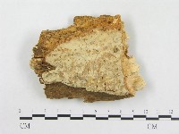 登錄號:F0004643藏品圖，第1張