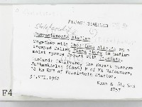 登錄號:F0004644藏品圖，第2張