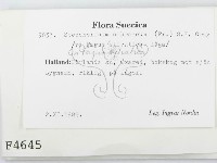 登錄號:F0004645藏品圖，第2張