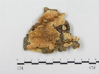 登錄號:F0004645藏品圖，第1張