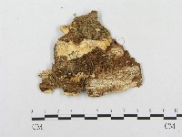 登錄號:F0004645藏品圖，第3張