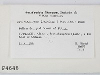 登錄號:F0004646藏品圖，第2張