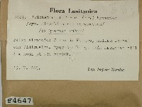 登錄號:F0004647藏品圖，第2張