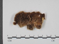 登錄號:F0004647藏品圖，第1張