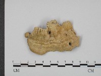 登錄號:F0004647藏品圖，第3張