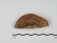 登錄號:F0004648藏品圖，第1張