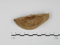 登錄號:F0004648藏品圖，第3張