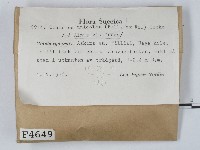 登錄號:F0004649藏品圖，第2張