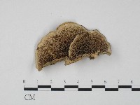 登錄號:F0004649藏品圖，第1張